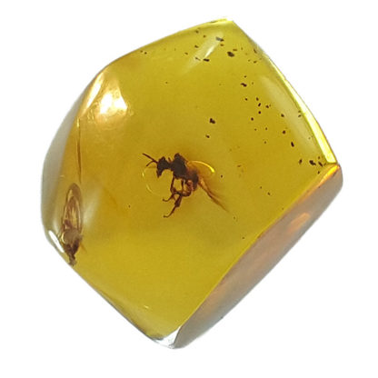 Nectary Bee