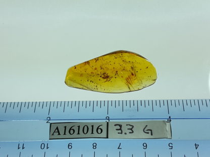 Spyder Size