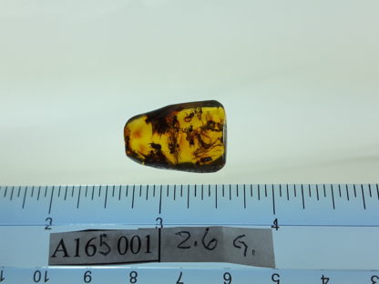 Thirteen Bees Size