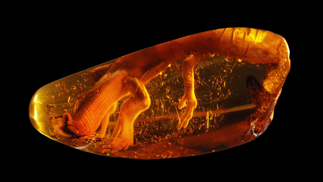 amber lore